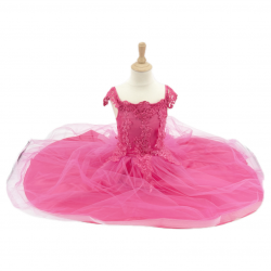 Robe de princesse - Rose- 5-7ans 