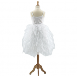 Robe Le Lac des Cygnes - Blanc- 3-4ans