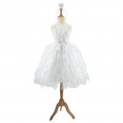 Robe Lac des Cygnes Blanche 5-7 ans